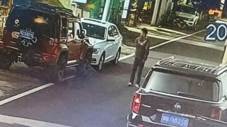 伊犁一民宿人员将住客猫扔出致跑丢